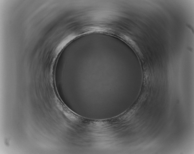 X0000101971427200807251201