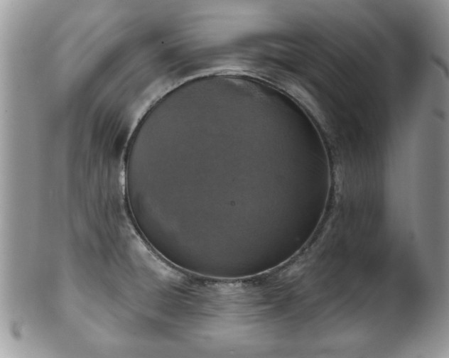 X0000101971428200807251201
