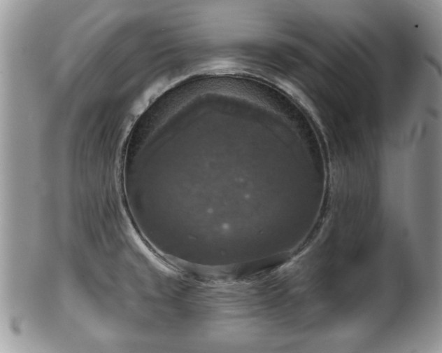 X0000101971429200807251201