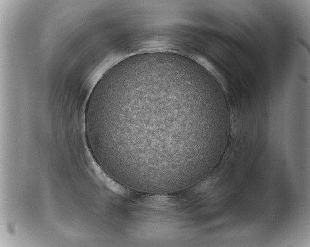 X0000101971431200807251201