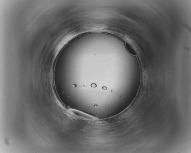 X0000101971432200807251201