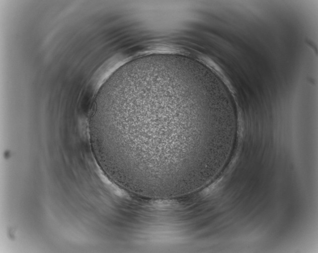 X0000101971433200807251201