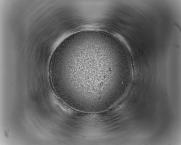 X0000101971435200807251201