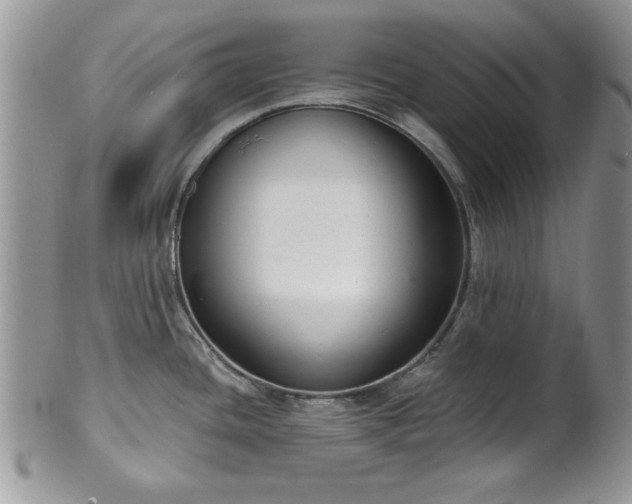 X0000101971436200807251201