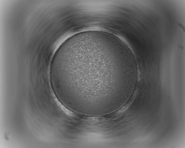 X0000101971438200807251201
