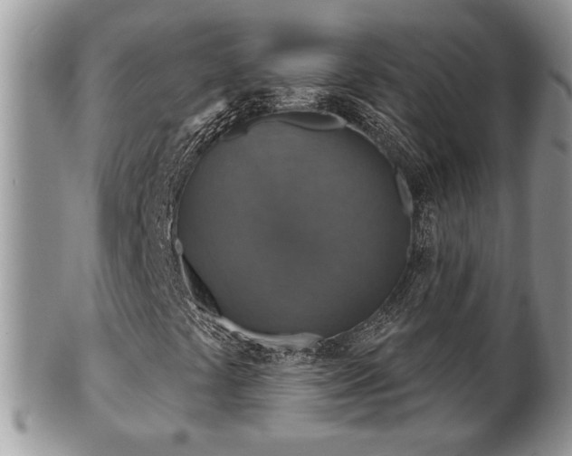 X0000101971441200807251200