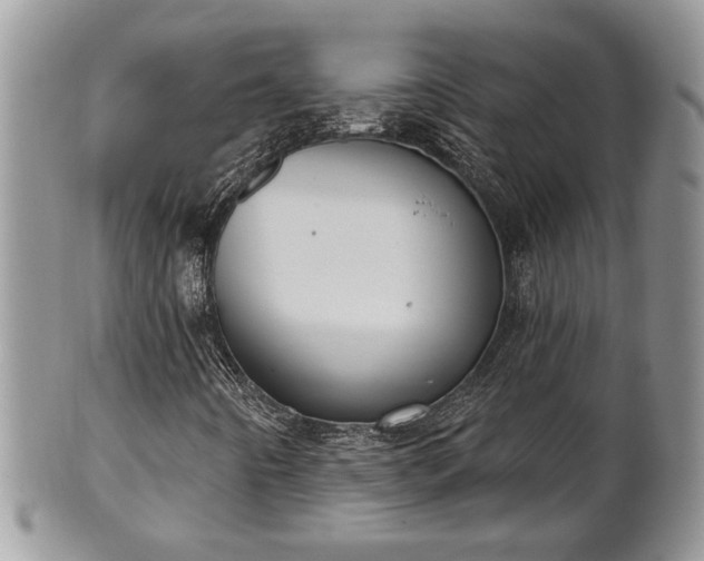 X0000101971442200807251200