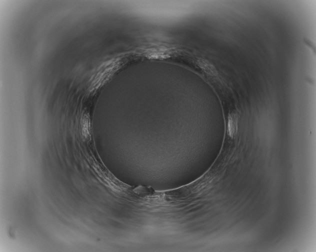 X0000101971444200807251200