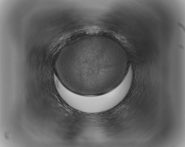 X0000101971445200807251200