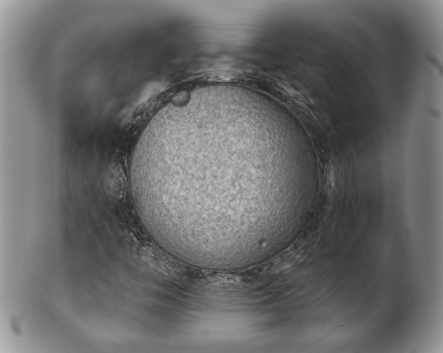 X0000101971446200807251200