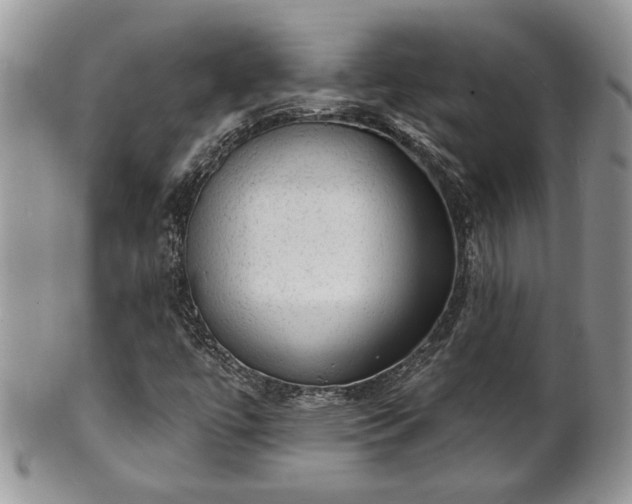 X0000101971447200807251200