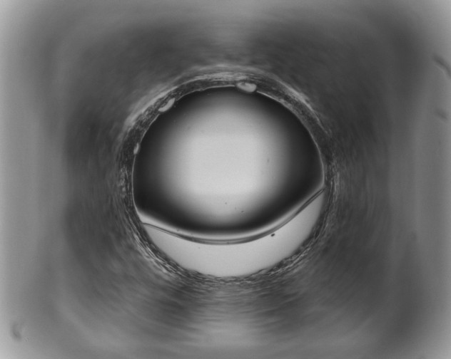 X0000101971448200807251200