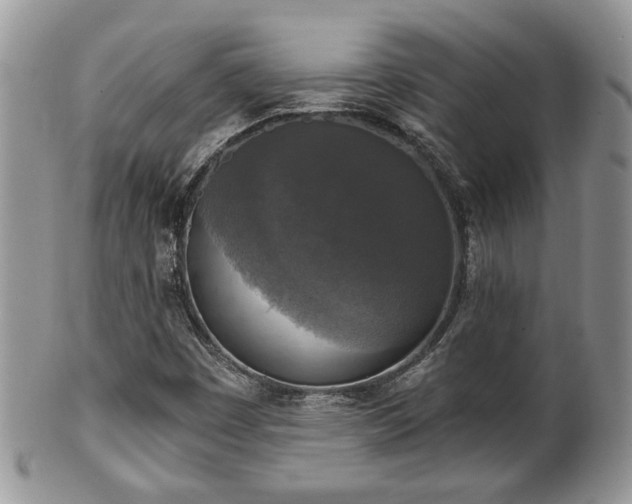 X0000101971449200807251200