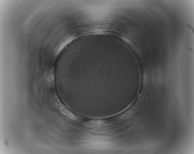 X0000101971450200807251200