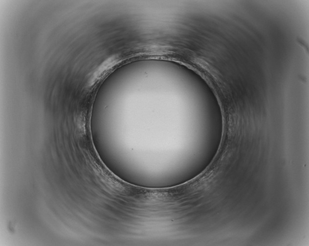 X0000101971451200807251200