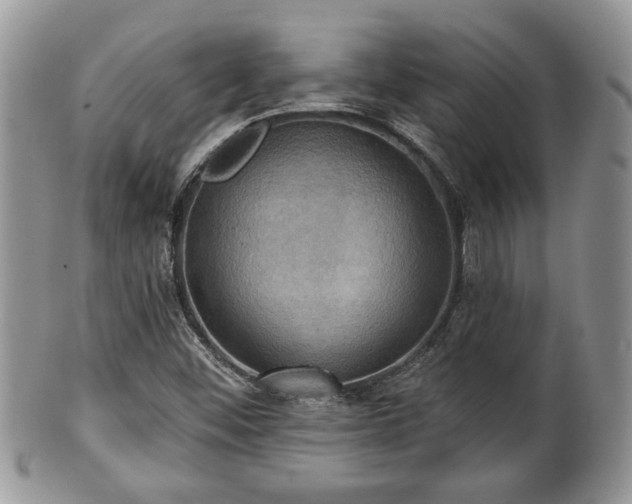 X0000101971452200807251200