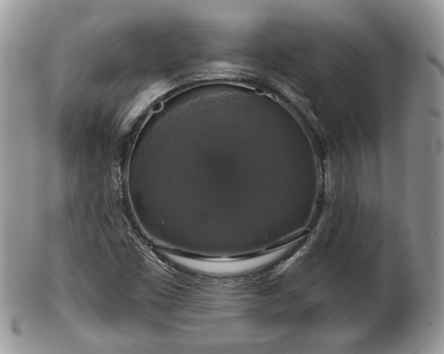 X0000101971453200807251200