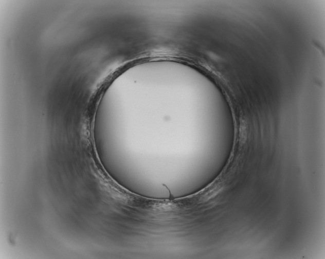 X0000101971454200807251200