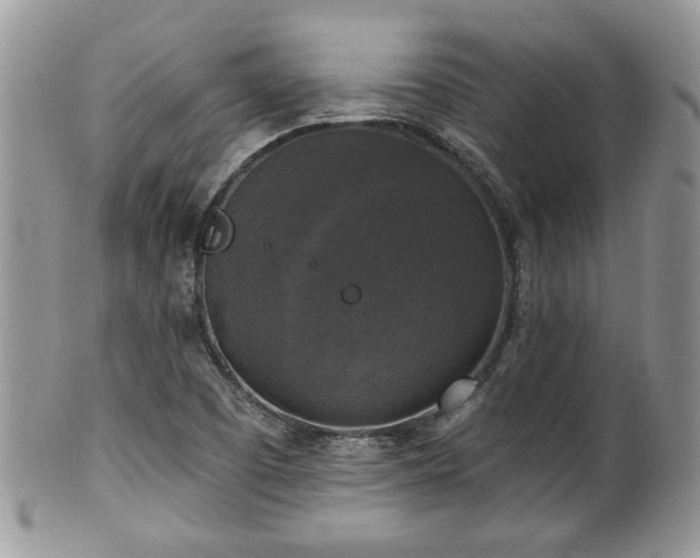 X0000101971457200807251200