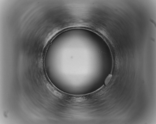 X0000101971460200807251200