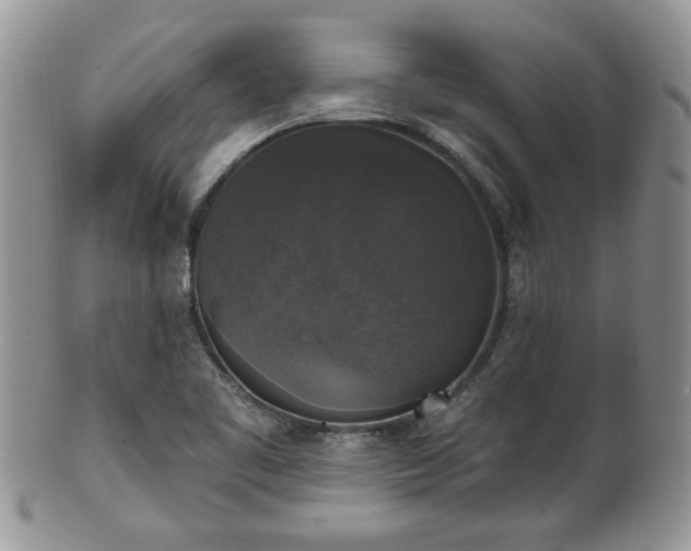 X0000101971461200807251200