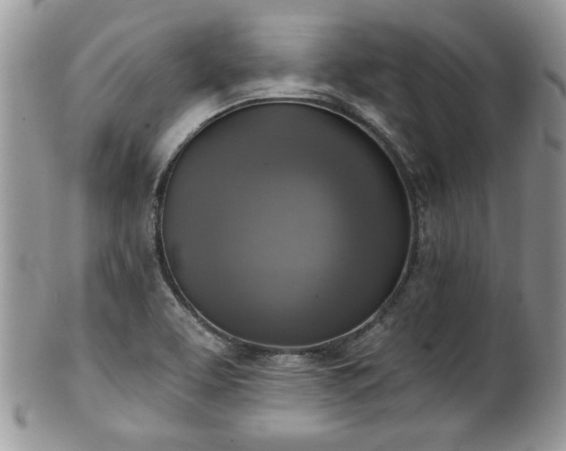 X0000101971463200807251200