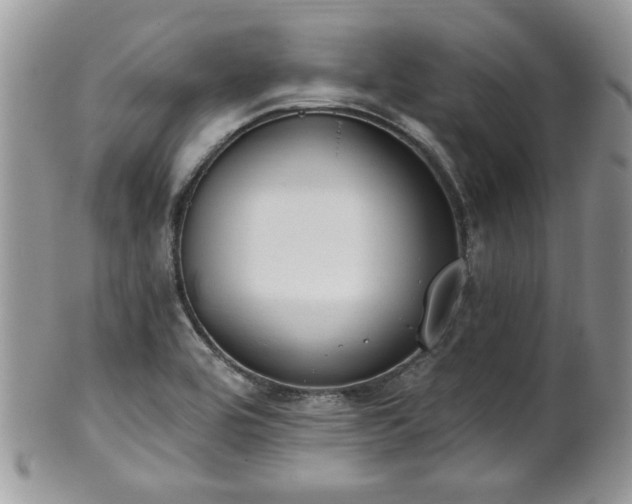 X0000101971464200807251200