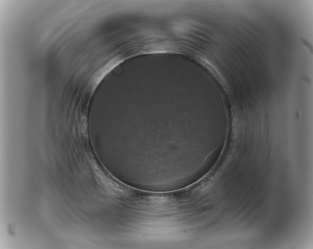 X0000101971465200807251200