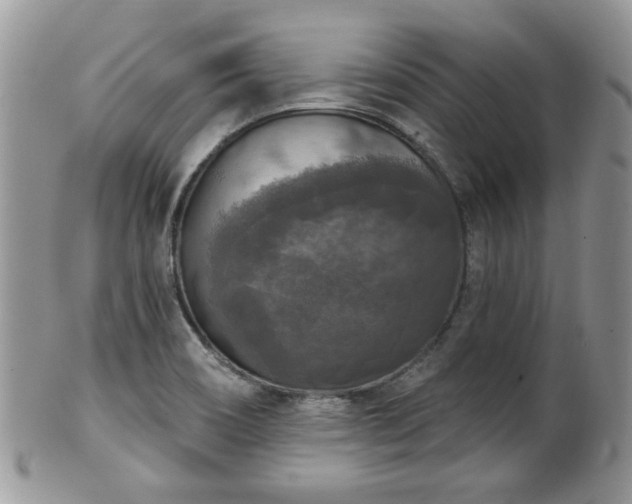 X0000101971466200807251200