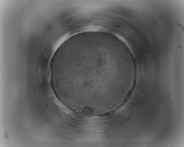 X0000101971467200807251200