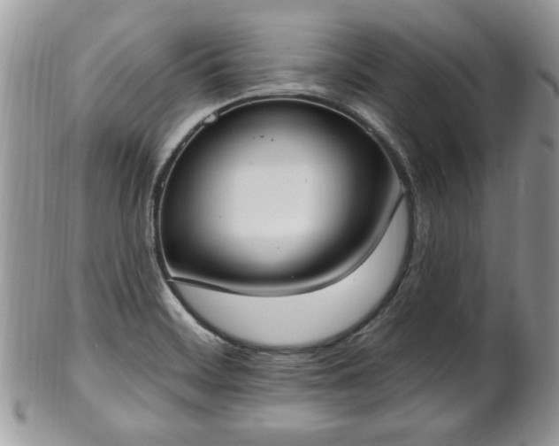X0000101971468200807251200