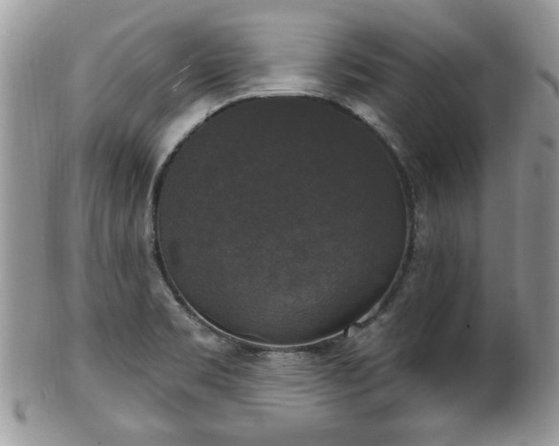 X0000101971469200807251200