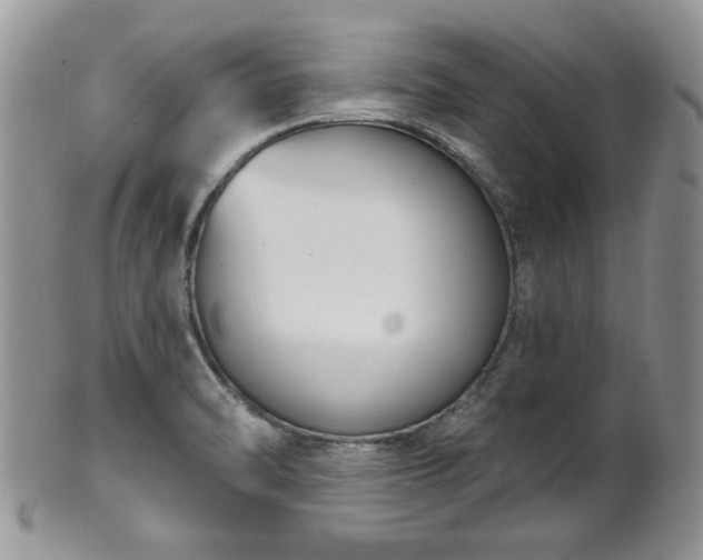 X0000101971470200807251200