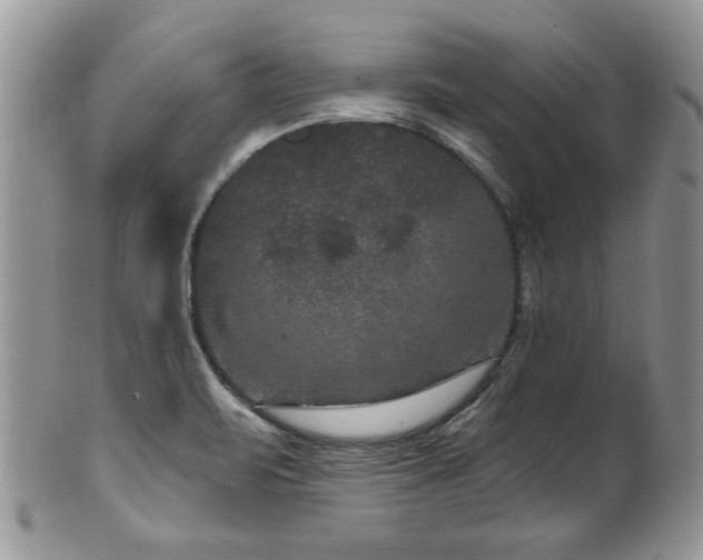 X0000101971471200807251159