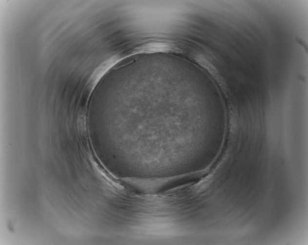 X0000101971473200807251159