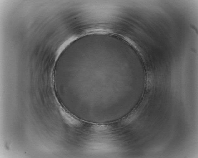 X0000101971474200807251159
