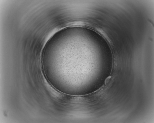 X0000101971475200807251159