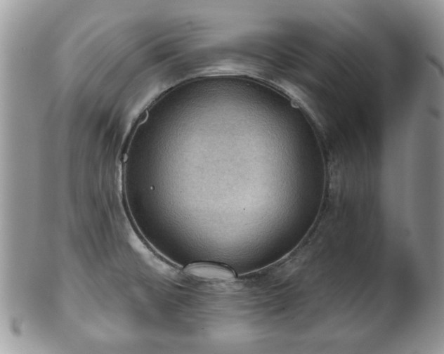 X0000101971476200807251159