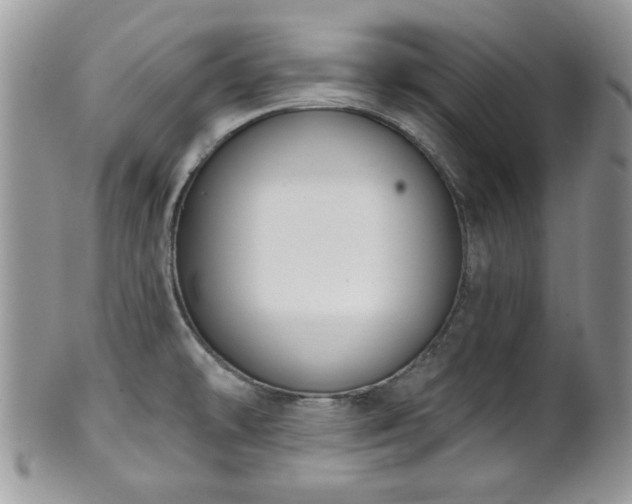 X0000101971478200807251159