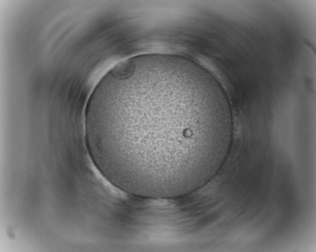 X0000101971479200807251159