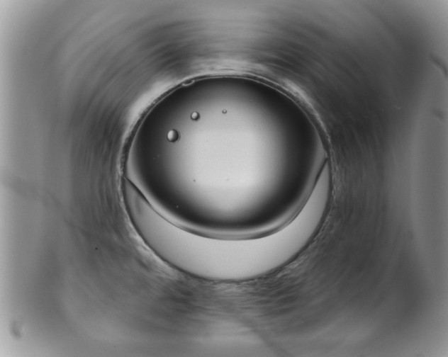 X0000101971480200807251159