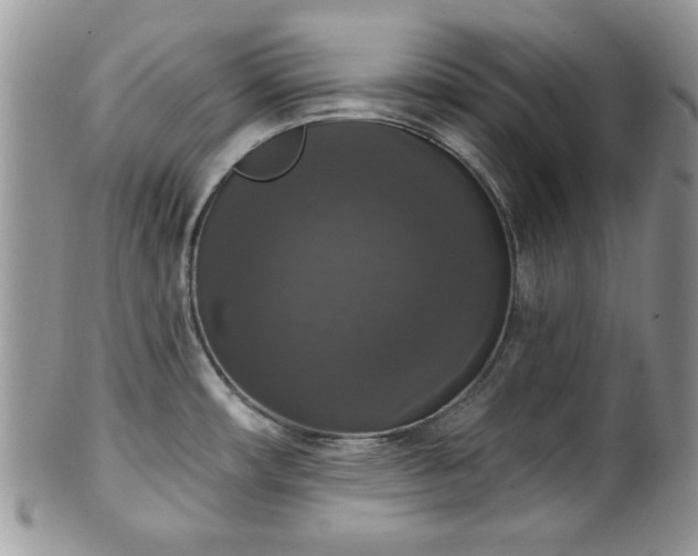 X0000101971482200807251159