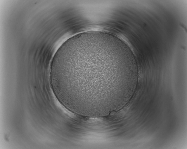X0000101971483200807251159