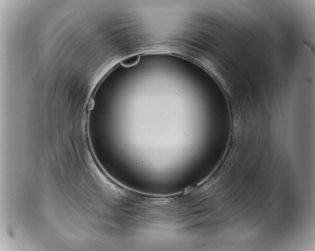 X0000101971484200807251159