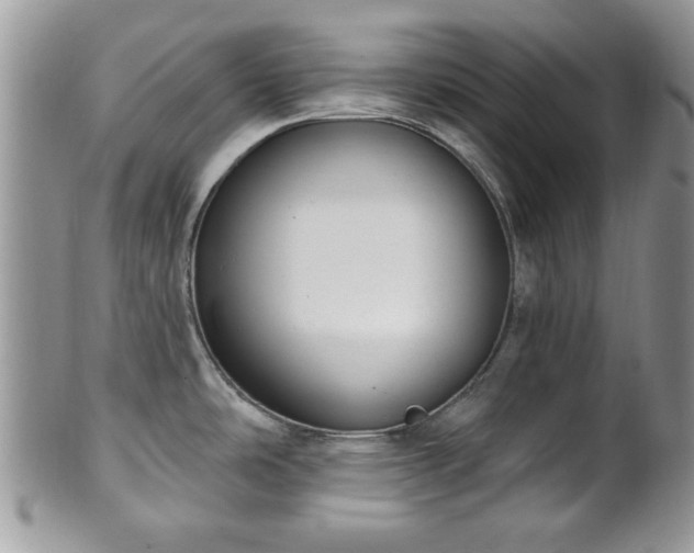 X0000101971486200807251159