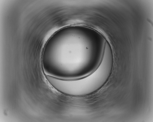 X0000101971488200807251159