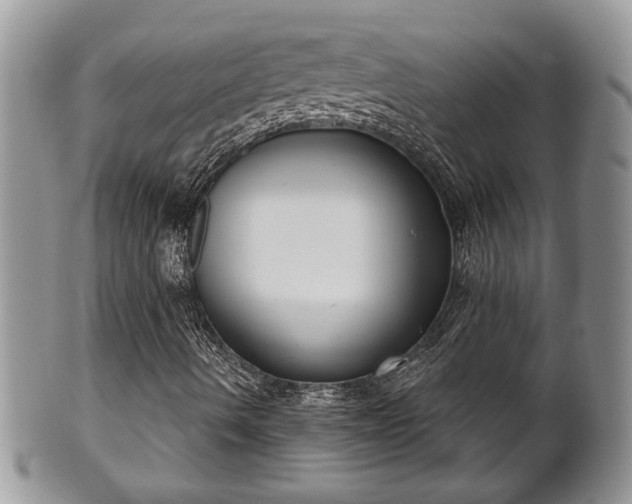 X0000101971490200807251159