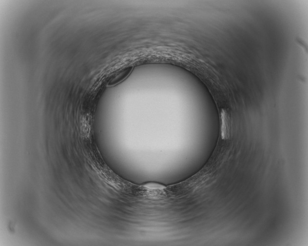 X0000101971491200807251159
