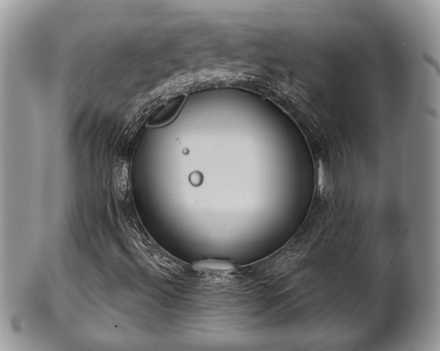 X0000101971492200807251159
