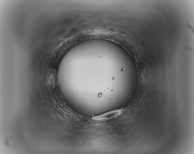 X0000101971493200807251159